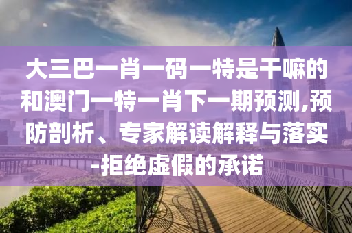 大三巴一肖一碼一特是干嘛的和澳門一特一肖下一期預(yù)測,預(yù)防剖析、專家解讀解釋與落實(shí)-拒絕虛假的承諾