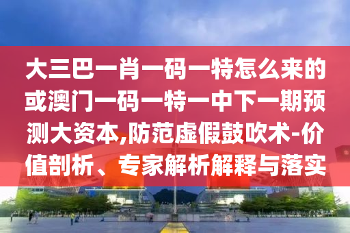 大三巴一肖一碼一特怎么來的或澳門一碼一特一中下一期預測大資本,防范虛假鼓吹術(shù)-價值剖析、專家解析解釋與落實
