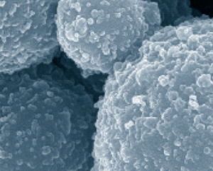 HRP系列_無(wú)機(jī)複合微球